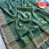 Green Shimmer Chiffon Stone Work Partywear Saree