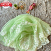 Light Green Pure Organza Multi-Embroidered Saree