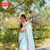 Light Blue Organza Chikankari Partywear Saree