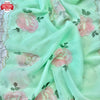 Light Green Organza Handwork Partywear Saree