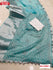 Sky Blue Pure Nylon Organza Partywear Saree